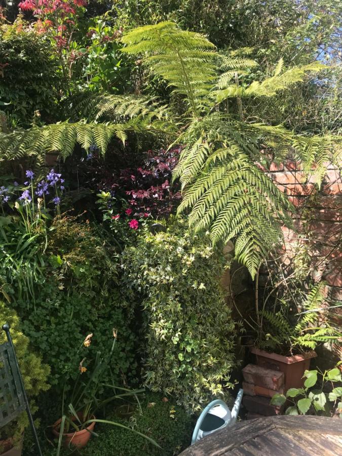 1920'S House. Private En Suite Sitting Room . Dog Friendly Teignmouth Esterno foto